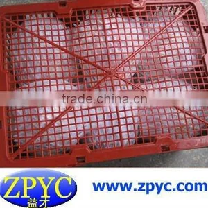 Chinese Fresh Cauliflower thumbnail-1
