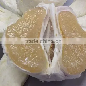 Late Honey Pomelo thumbnail-2