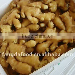 Specification Fresh Ginger and Garlic thumbnail-1