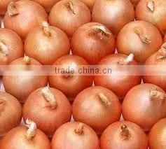 Onion thumbnail-1