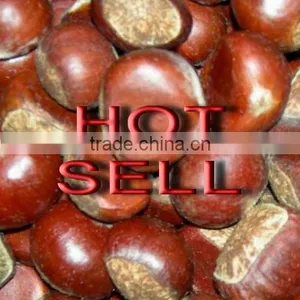 2015 Fresh Chestnut With Shell Frozen Chestnut Hot Hot Sell thumbnail-1