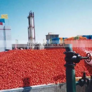 Tomato Paste thumbnail-1