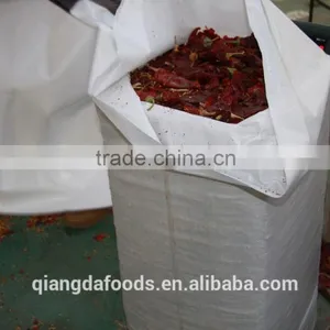 PAPRIKA CHILE thumbnail-2