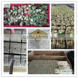 Agricultural Rockwool Cube/grow Cube for Plants Growing thumbnail-5