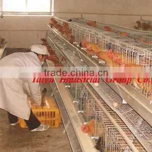 Export Standard Chicken Poultry Layer Cage thumbnail-1