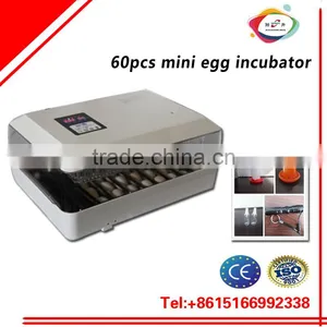 Full Automatic Poultry Egg Incubator/60 Chicken Egg Incubator Hatchery Machine thumbnail-2