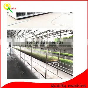 Soybean Mung Bean Sprouts Machine/bean Sprouts Making Machine/automatic Bean Sprouts Machine thumbnail-1