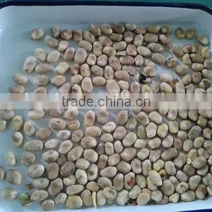 Color Sorting MachIne for Rice,Cereal,Plastic,Mine thumbnail-4