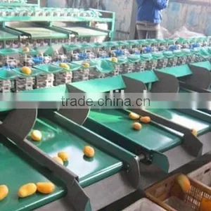 Mango Grading Machine Sorter Grader thumbnail-3