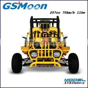 250cc Water Cooling EEC/EPA Sand Beach Buggy thumbnail-1