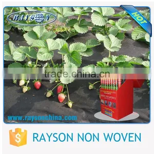 Eco-friendly and Good Elongation Fabric Agricultural Ground Cover thumbnail-4