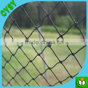 Agriculture Used 100% Virgin HDPE Plastic Green Weaving Anti-bird Net on Hot Selling thumbnail-1