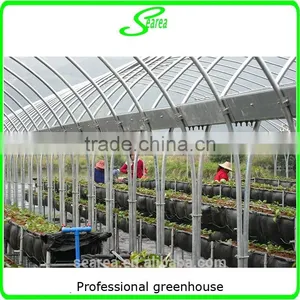 Easy Assembled Commercial Agricultural Tunnel Greenhouse thumbnail-6