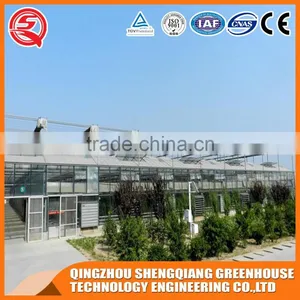 Solar Glass Greenhouse With Low Cost Shading Systems for Sale thumbnail-1