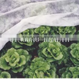 PP Mulch Fleece , Frost Protection Fleece (50g/m2) thumbnail-5