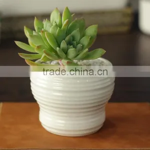 Indoor Mini Glazed White Pottery Planter for Succulent thumbnail-1