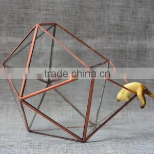Home Design Clear Glass Terrarium Succulent Plants Greenhouses thumbnail-3