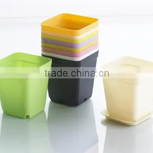 Plastic Colorful Small Square Flower Pots Without Pallet -3 Inch thumbnail-3