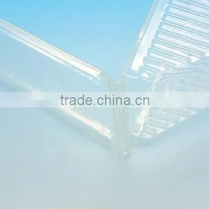 100% Biodegradable and Non-toxic PLA Triangle Sandwich Box thumbnail-5