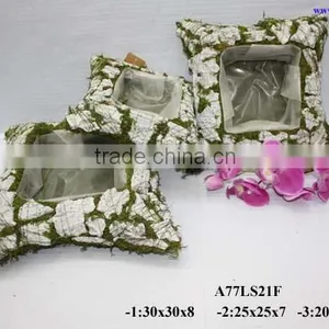 Mats of Moss thumbnail-1