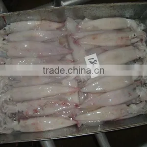 Frozen Squid (sleeve Fish, Loligo Squid) Y-002 thumbnail-1