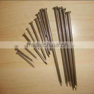 Common Round Wire Nail, Polish Common Nail Making Machine(factory) thumbnail-2
