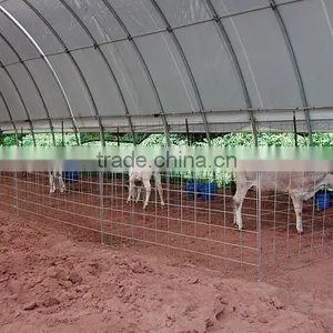 Farm Livestock Shelter , Animal Tent ,CAR SHELTER , STORAGE TENT thumbnail-3