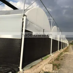 China Plastic Film Greenhouse Tunnel for Sale thumbnail-4