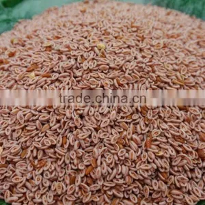 Psyllium Seed thumbnail-2