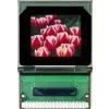 Hong Kong OLED Module thumbnail-1