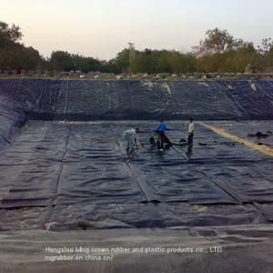 Black Color 1mm HDPE Geomembrane/LDPE Geomembrane/pond Liner thumbnail-4