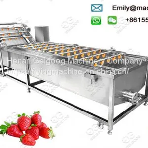 Industrial Strawberry Washing Machine thumbnail-1