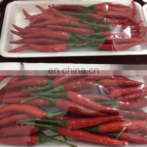 FRESH CHILLI/RED CHILLI/GREEN CHILLI - BEST PRICE HIGH QUALITY thumbnail-1