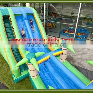 Factory Supply Giant Inflatable Water Slide With Pool thumbnail-4