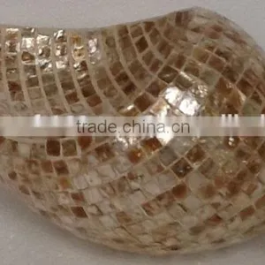 High Quality Best Selling Eco Friendly Mother of Pearl Snail Image From Vietnam thumbnail-1