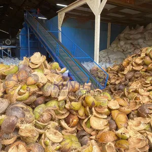 Thailand Coconut Husk Palm Shell Susan Sisal Kenaf Hemp Fiber Extracting Crusher Machine EPC thumbnail-3