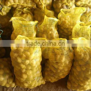 Potato Type and Common Cultivation Type Fresh Potatoes thumbnail-1