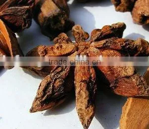 Best Price and Best Quality New Crop Star Aniseed thumbnail-1