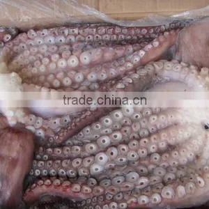 Frozen Seafood Octopus IQF Octopus Of Various Sizes thumbnail-1