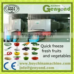 Stainless Steel Belt Tunnel Instant Quick Freezer (rapid Freezing) 5000kg per Hour thumbnail-1