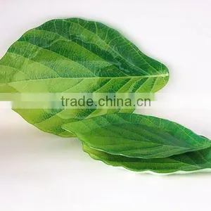 HOT SALE!leaf Shape Glass Serving Tray thumbnail-1