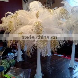 Wholesale White Ostrich Feathers for Party Decoration thumbnail-1