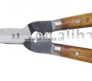 Hedge Shears thumbnail-1