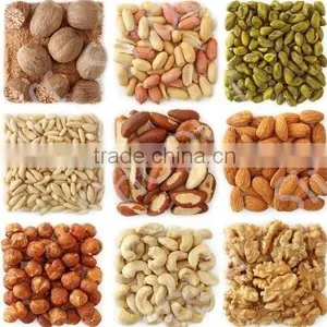 Electrical Nut Roaster Peanut Roasting Machine For Peanut Processing Industry thumbnail-3