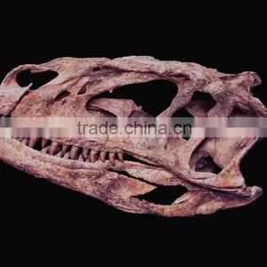 1:1 Scale Artificial Resin Dinosaur Skull thumbnail-6