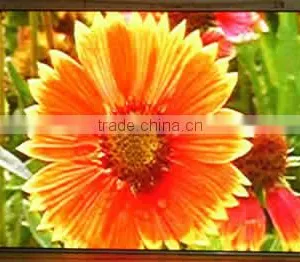 Professional and Transparent Indoor Full Color P2.5 LED Display Wall thumbnail-3