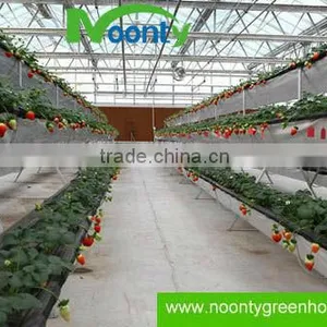 Strawberry Gutter thumbnail-2