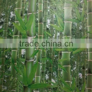 3D Bamboo Wallpaper for Home thumbnail-6