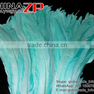 NO.1 Supplier CHINAZP Bulk Sale Selected Prime Quality Colored Light Lake Blue Fully Dyed Rooster Chicken Feathers thumbnail-3