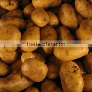 Fresh Potato thumbnail-1